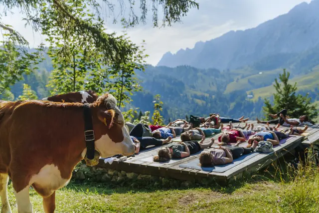 Die Yoga-Plattform am Brentenjoch im Kaisergebirge ist nicht nur ein besonderer Ort für die Yogapraxis, sondern bietet auch "besondere" Begegnungen | Foto: Kufsteinerland/Lisa Eiersebner