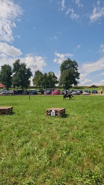Foto: Pferdesportfreunde Riedau