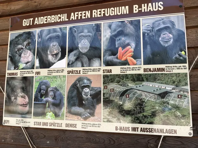 Foto: Claudia Bräuer