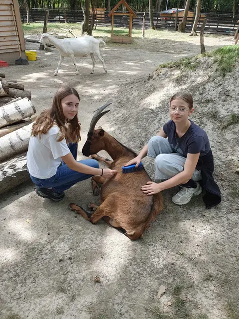 Eine Woche lang stand für die Jugendlichen die Arbeit mit Tieren im Mittelpunkt. | Foto: Österreichischer Tierschutzverein