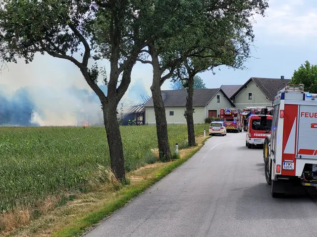 Die Flammen griffen rasch auf Gebäude und Fahrzeuge über – elf Feuerwehren kämpften gegen den Großbrand. | Foto: FF Hain-Zagging, Herzogenburg-Stadt, St.Pölten-Stadt