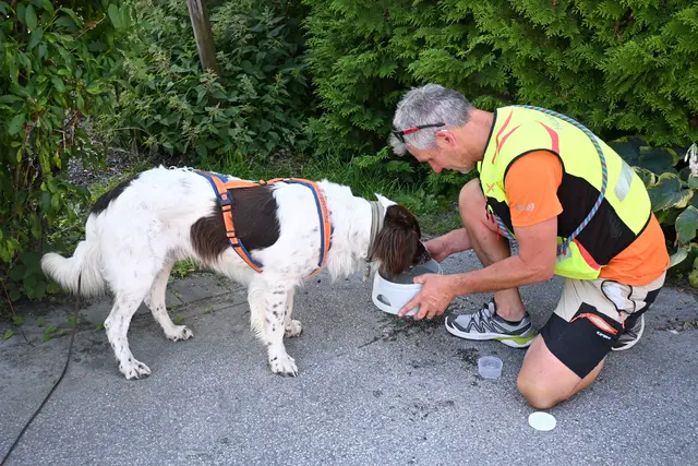 Dabei stellte auch das Wetter und die Temperaturen eine Herausforderung für die Vierbeiner und ihre menschlichen Begleiterinnen und Begleiter dar, dennoch zeigten die Hunde gute Leistungen. | Foto: Bergrettung Salzburg
