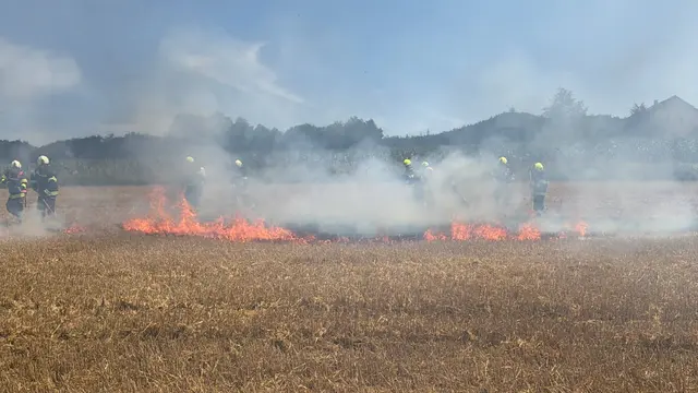 Praxisnahe Einsatzszenarien durften beim Lehrgang nicht fehlen. | Foto: BFKDO Ried