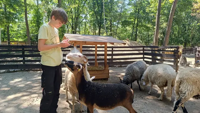 Foto: Österreichischer Tierschutzverein