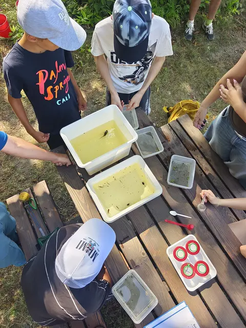 Foto: Grillmann