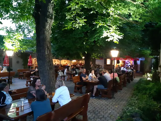 Der Platzhirsch in Enns verfügt über 120 Sitzplätze im Innebreich sowie 150 im Gastgarten. | Foto: Foto: Uhlmann
