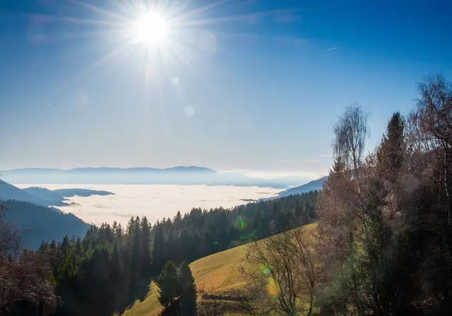 Foto: Pexels (Symbolbild)