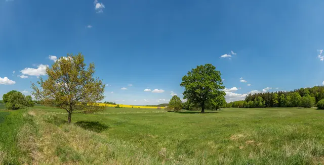 Sonne, Hitze und Hochsommer: Niederösterreich erwartet am Mittwoch bis zu 36 Grad.
 | Foto: Pexels (Symbolbild)