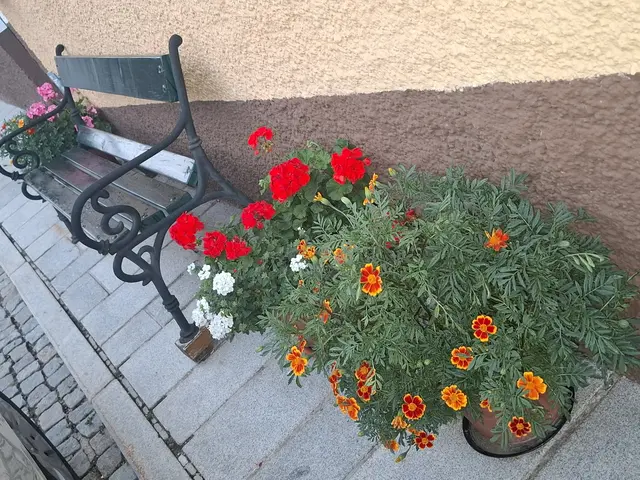 Pabneukirchen  | Foto: privat