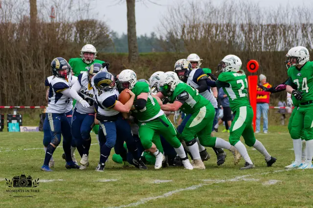 Die starken Jungs der Wolves-Defense zeigten, gegen die Gmunden Rams was sie können. | Foto: Rebecca Zack