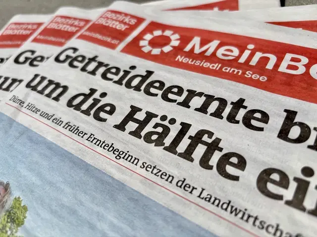 Mit einer Auflage von über 130.000 Stück versorgt MeinBezirk im Burgenland alle Haushalte kostenlos jede Woche mit den aktuellen Neuigkeiten aus Politik, Wirtschaft, Sport und Kultur.  | Foto: Anna Triebaumer/MeinBezirk