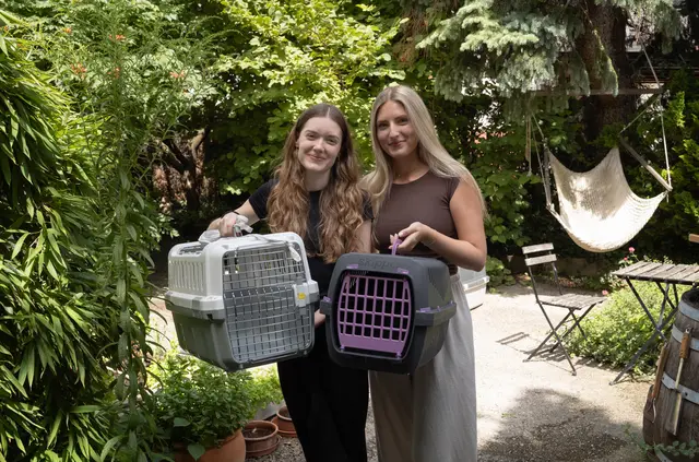 Leonie und Nina wollen gemeinsam mit ihrer Mama die Streuner einfangen. | Foto: Santrucek