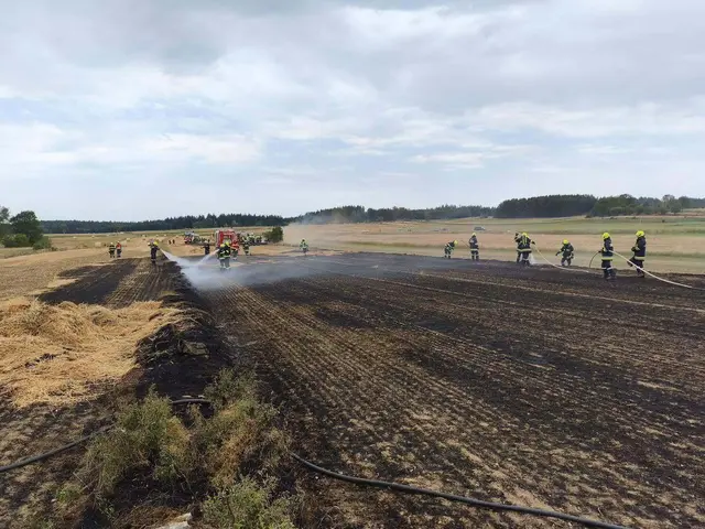 Das bereits abgeerntete Feld brannte. | Foto: FF Vitis