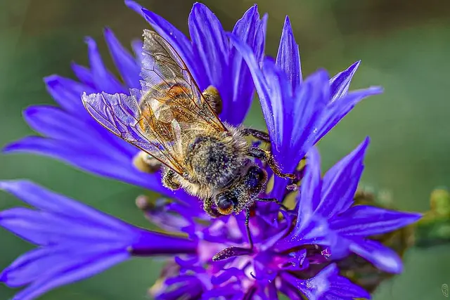 Manchmal sieht man mehr,
wenn man die Augen schließt.
Foto: Glaser 