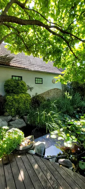 Anna und Hans Riegler-Klinger | Foto: Anna und Hans Riegler-Klinger