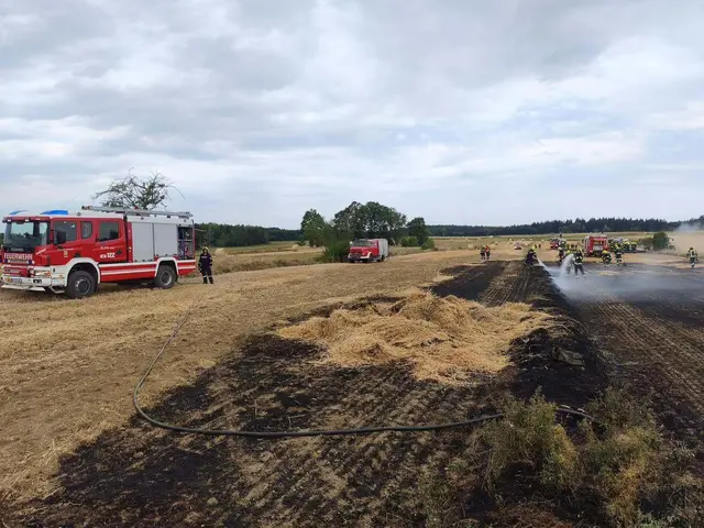Das bereits abgeerntete Feld brannte. | Foto: FF Vitis