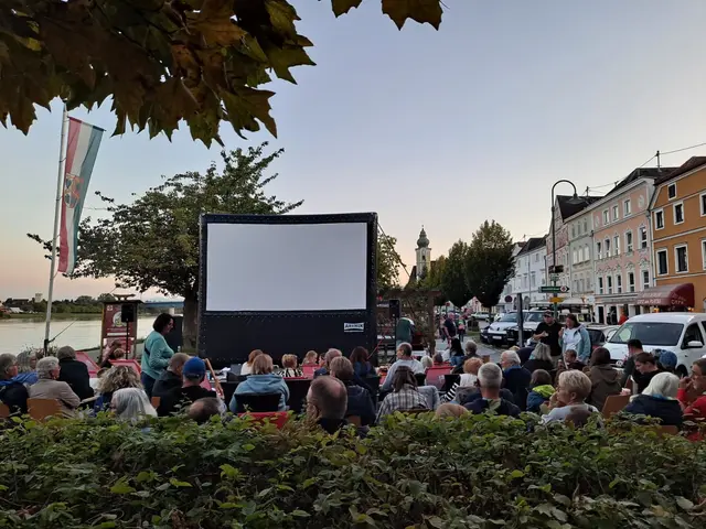 Die SPÖ Aschach lädt am 29. August um 19.30 Uhr zum Freilandkino. | Foto: SPÖ Aschach