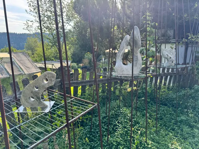 Foto: Matthias Ranegger