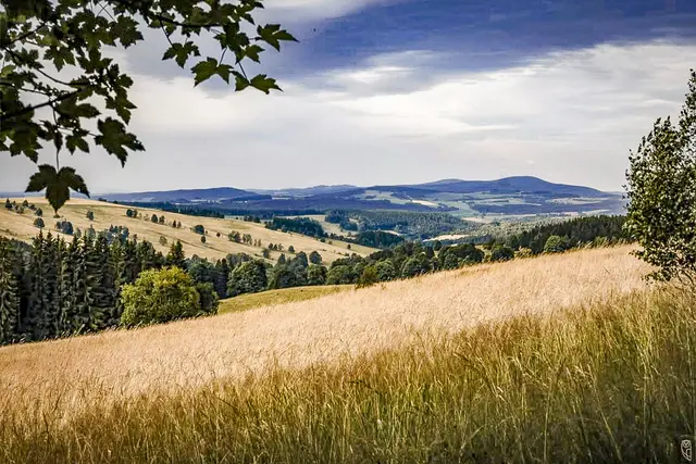Wunderschöne Mühlviertler Sommerlandschaft
Foto: Glaser 