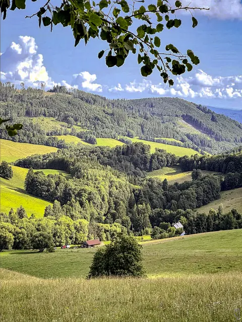 Die Gesellschaft will es lieber 
unterhalten als belehrt zu werden.
Foto: Glaser 