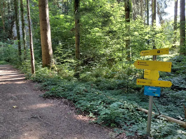 Foto: H.Bachinger