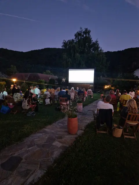 An zwei Augustabenden werden bei freiem Eintritt besondere Filme in stimmungsvoller Atmosphäre gezeigt.  | Foto: zVg (Weinbauer Brustbauer)