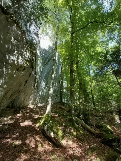 Foto: H.Bachinger