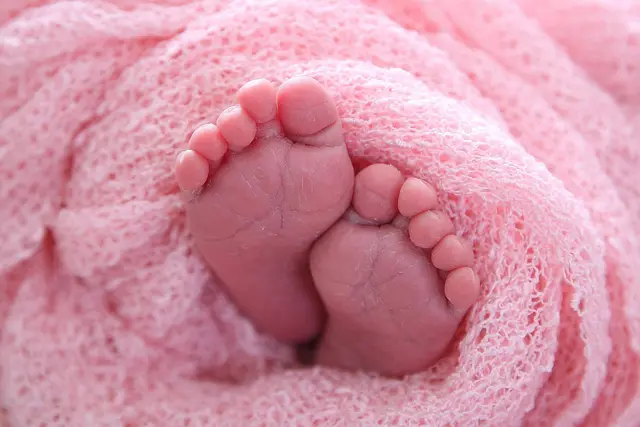 300 Mal Babyglück: Gemeinsam mit ihren Eltern Stefanie Langer und Erich Kleist freut sich auch das Team des Landesklinikums über Jubiläumsbaby Lucy. (symbolfoto)  | Foto: pixabay / makingup