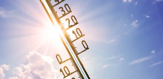 Die Temperaturen werden in dieser Woche voraussichtlich auf bis zu 38 Grad steigen. | Foto: smarterpix/panoramaimages