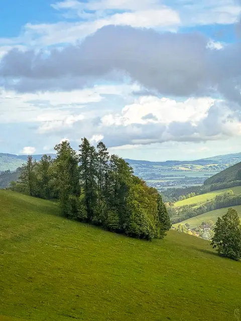 Gestern ist Geschichte, Morgen ist
ein Geheimnis und Heute ist das Leben.
Foto: Glaser 