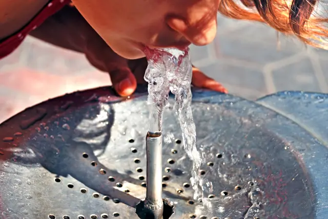 Dass immer genug Wasser zur Verfügung steht, ist überlebenswichtig. (Symbolbild) | Foto: smarterpix