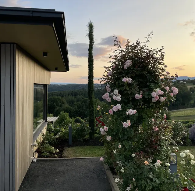 Foto: Weingut Michael