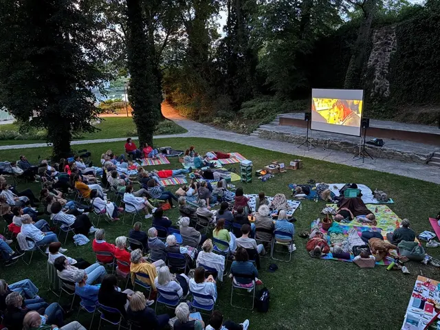 Rund 170 Besucher guckten am Schlosspark bei lauem Sommerwetter einen Film unter freiem Himmel. | Foto: Karl Grabmann