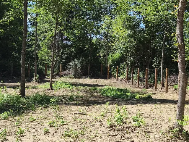 Das soll die neue Hundewiese in Murau sein. Dieses Projekt sorgt aber für Aufregung.
