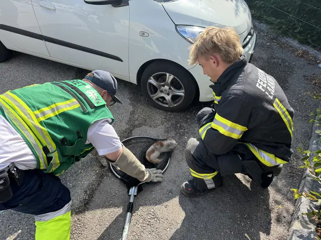 Die Katze konnte aus dem Motorraum befreit werden. | Foto: Feuerwehr Laakirchen