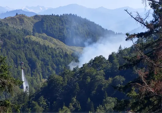 Ein Waldbrand im Kaisergebirge in Scheffau hält derzeit rund 80 Feuerwehrleute auf Trab. | Foto: ZOOM.TIROL