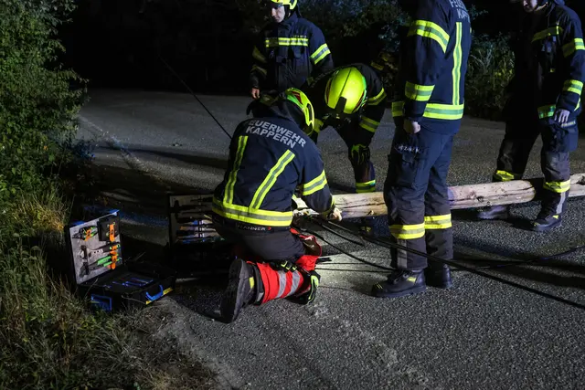 Morsch und vom Specht durchlöchert war ein Telefonmast in Marchtrenk umgestürzt. | Foto: laumat.at