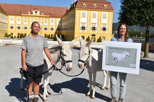 Foto: Claudia Bräuer