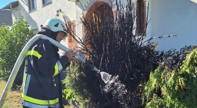 Foto: Freiwillige Feuerwehr Pürstling