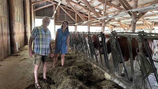 Andreas Handlos im Stall mit Sandra Krautwaschl; die extreme Hitze macht ihm als Landwirt heuer ordentlich zu schaffen. | Foto: Grüne