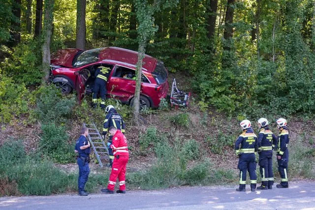 Foto: FOTOKERSCHI / MARKUS HAUSER