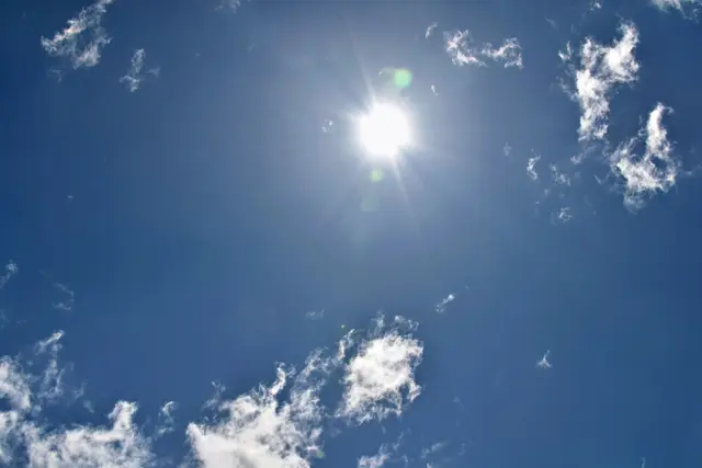 Lange Trockenheiten und Temperaturen über 30 Grad Celsius setzen den meisten Pflanzen extrem zu und treiben sie in eine Art Notbetrieb. | Foto: &lt;a href="https://unsplash.com" onclick="window.open(this.href); return false;" rel="nofollow"&gt;unsplash&lt;/a&gt; / &lt;a href="https://unsplash.com/@jeisen" onclick="window.open(this.href); return false;" rel="nofollow"&gt;Jeffrey Eisen&lt;/a&gt;