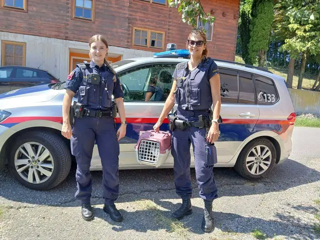 Zwei Polizistinnen brachten die beiden ausgesetzten Katzen zur Tierschutz Initiative Innviertel. | Foto: Greil