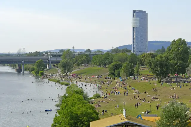 Am frühen Dienstagabend ist ein 41-jähriger Mann nach einem Sprung in die Donau ertrunken. (Archiv) | Foto: APA-Images / Willfried Gredler-Oxenbauer