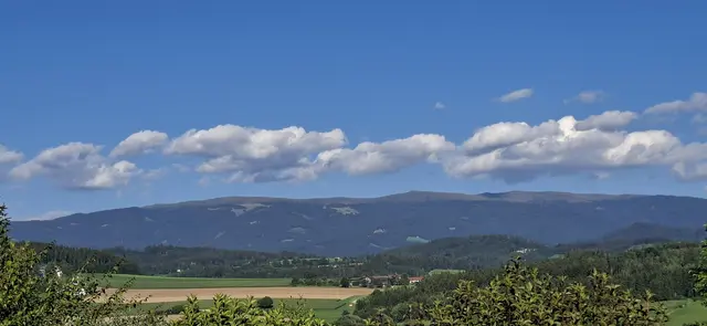 Foto: Kurt Nöhmer 