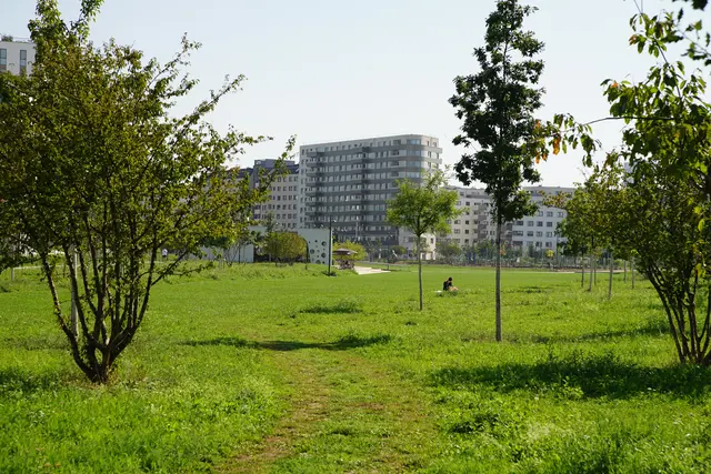 Beliebt bei Hundehalterinnen und -haltern. | Foto: Alois Fischer