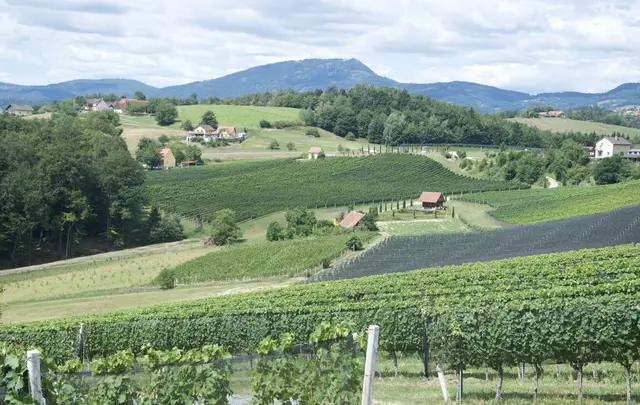 Foto: MeinBezirk/Leonie Herrmann