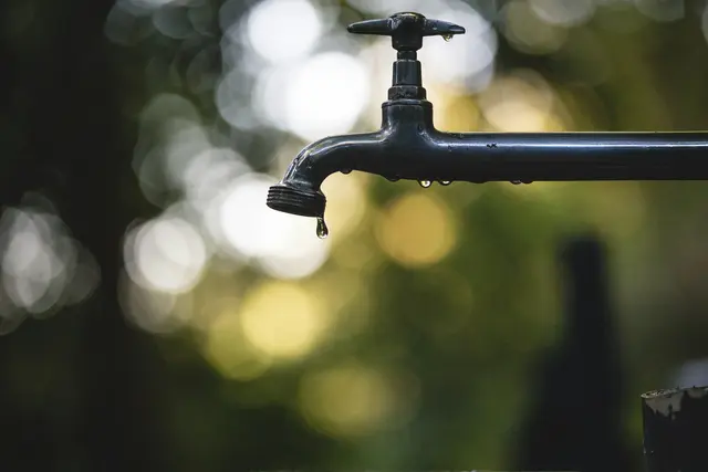 Besonders im Sommer ist das Wasser oft knapp bemessen und man sollte daher so wenig, wie möglich gießen. | Foto: &lt;a href="https://unsplash.com" onclick="window.open(this.href); return false;" rel="nofollow"&gt;unsplash&lt;/a&gt; / &lt;a href="https://unsplash.com/@luis_tosta" onclick="window.open(this.href); return false;" rel="nofollow"&gt;Luis Tosta&lt;/a&gt;