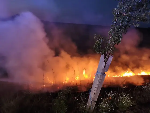 Foto: FF Gänserndorf