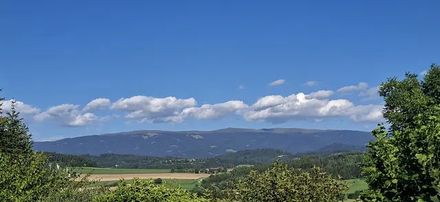 Foto: Kurt Nöhmer 